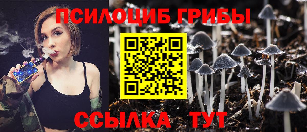 Псилоцибиновые грибы Cubensis  Галлюциногенные грибы мухоморы  Вход с VPN  Кинель 